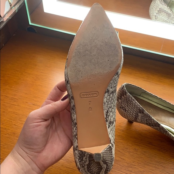 Coach kitty heel python - Picture 4 of 5